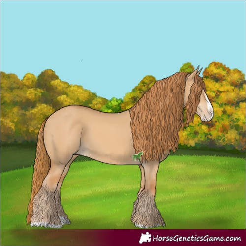 Horse Color:Red Dun Splash 