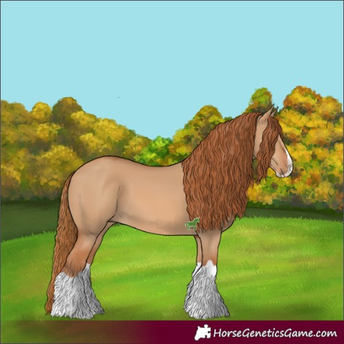 Horse Color:Red Dun Splash