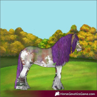 Horse Color:Painted Nacre Brown Dun Sabino Splash Brindle