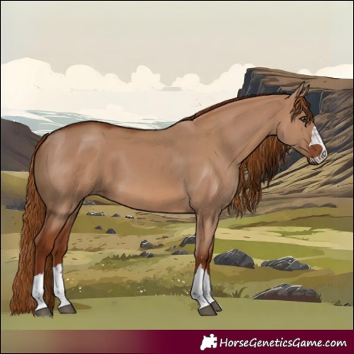 Horse Color:Red Dun 