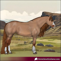 Horse Color:Red Dun 
