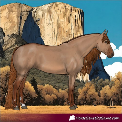 Horse Color:Red Dun