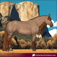Horse Color:Red Dun 