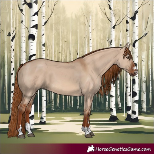Horse Color:Red Dun 