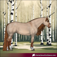 Horse Color:Red Dun