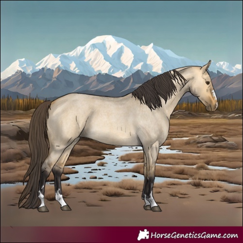 Horse Color:Buckskin Roan Dun 