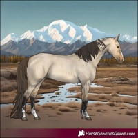 Horse Color:Buckskin Roan Dun 