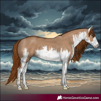 Horse Color:White Spotted Red Dun
