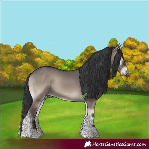 Horse Color:Grullo Onyx Sabino 