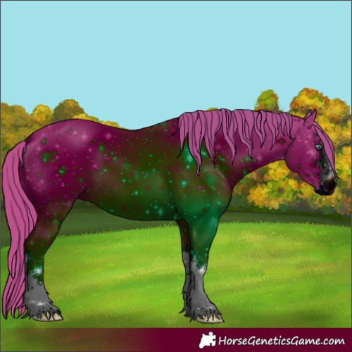 Horse Color:ERROR: UNKNOWN ANOMALY