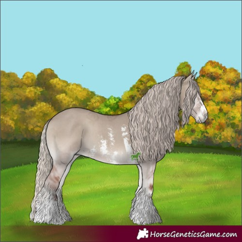 Horse Color:Silver Grullo Onyx Sabino 