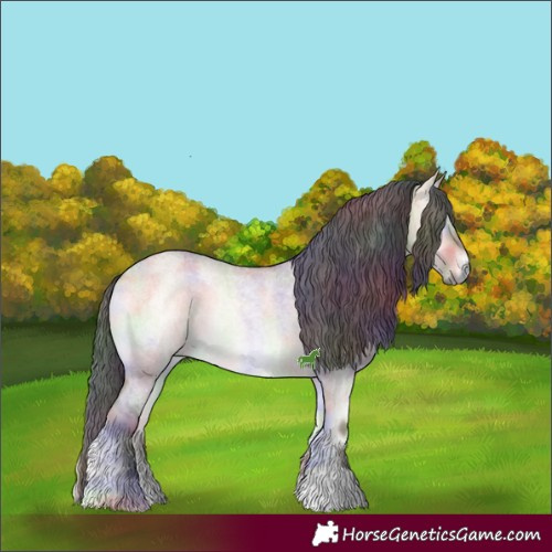 Horse Color:Nacre Bay Roan Onyx 