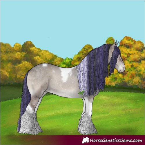 Horse Color:Painted Grullo Onyx Tobiano 