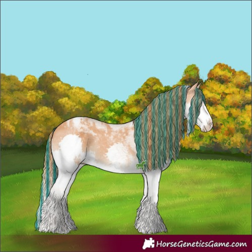 Horse Color:Painted White Spotted Chestnut Splash Tobiano