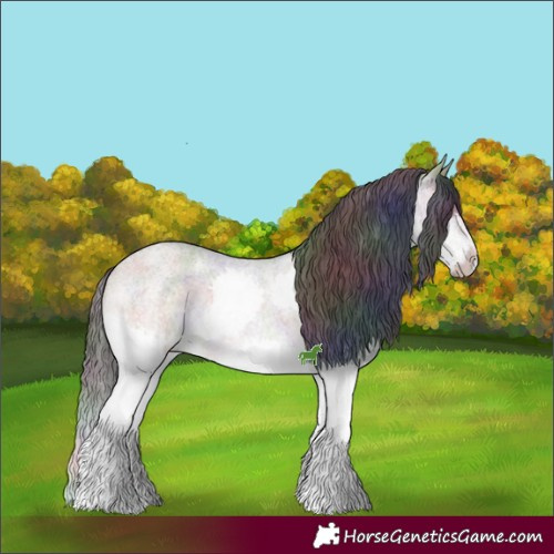 Horse Color:Nacre Brown Roan Dun Splash 