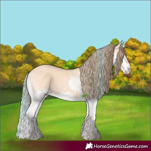 Horse Color:Painted White Spotted Red Dun Splash 