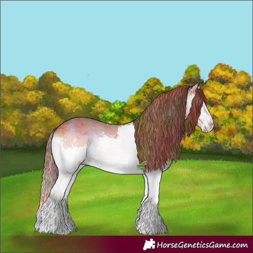 Horse Color:Nacre White Spotted Red Onyx Splash 