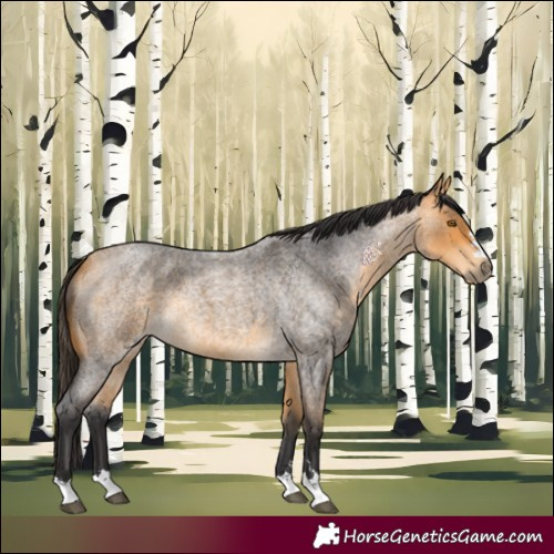 Horse Color:Buckskin Roan 