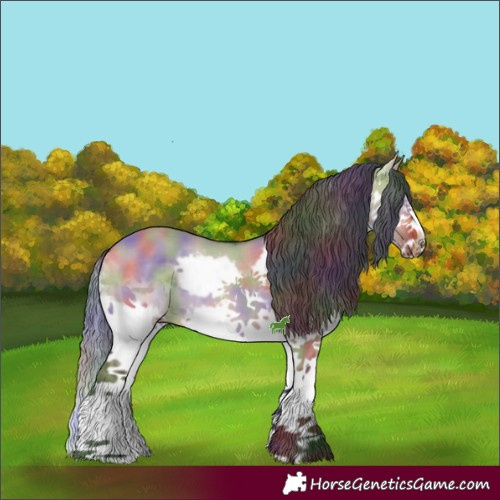 Horse Color:Nacre Bay Dun Sabino Splash Frame 