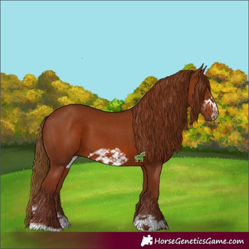 Horse Color:Chestnut Sabino Frame 