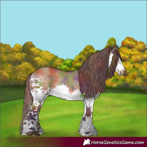 Horse Color:Nacre Liver Red Dun Sabino Splash Frame 