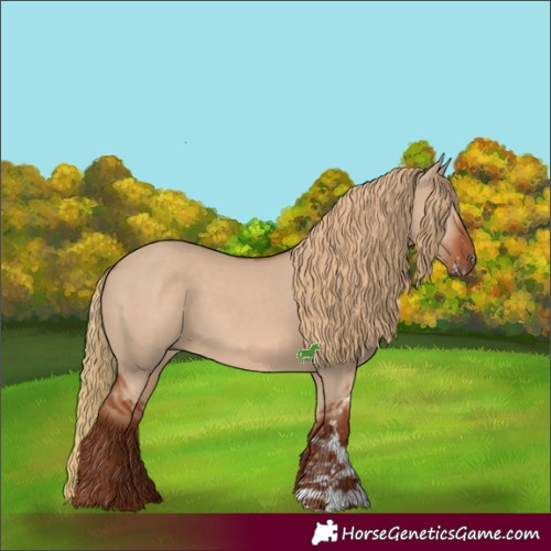 Horse Color:Red Dun Sabino 