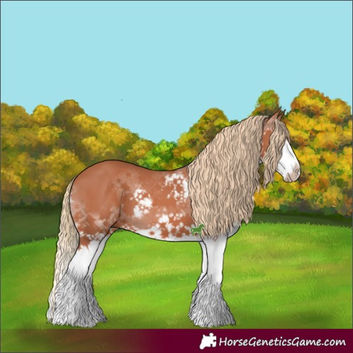Horse Color:Chestnut Splash Frame 