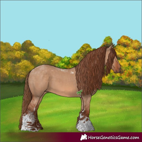 Horse Color:Red Dun Sabino Tobiano 
