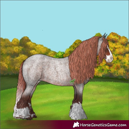 Horse Color:Liver Red Roan Splash