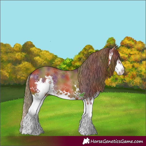 Horse Color:Nacre Chestnut Splash 