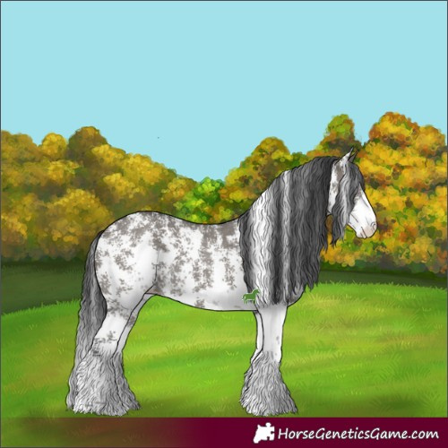 Horse Color:Grullo Sabino Rabicano 