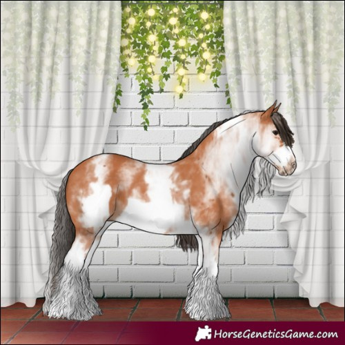 Horse Color:White Spotted Bay Frame 