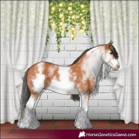 Horse Color:White Spotted Bay Frame 