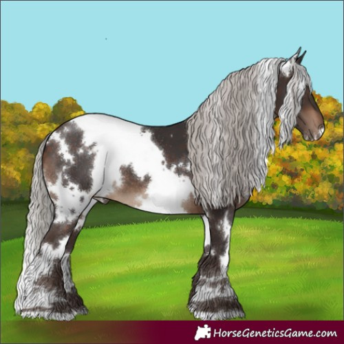 Horse Color:White Spotted Silver Brown 