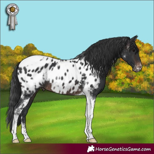 Horse Color:White Spotted Brown Tobiano Appaloosa Rabicano 