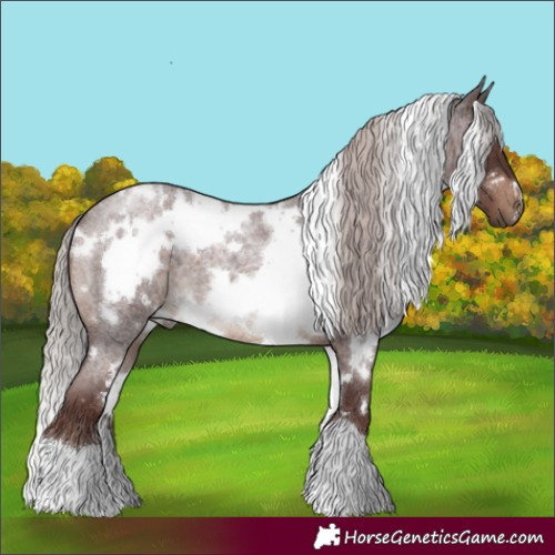 Horse Color:White Spotted Chocolate Silver Brown Roan 