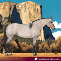 Horse Color:Bay Roan Dun