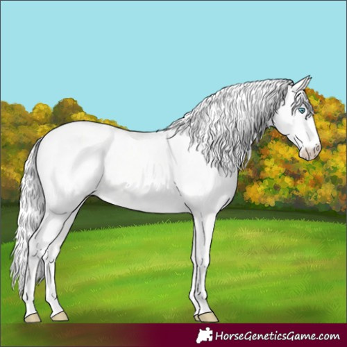 Horse Color:White Spotted Silver Smoky Creme Dun 