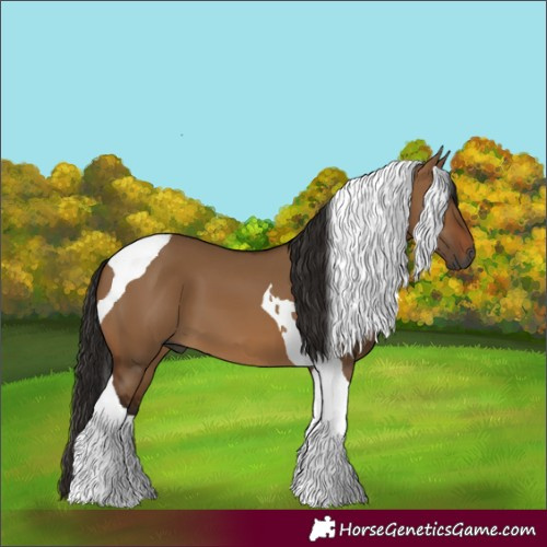 Horse Color:Gray Bay Dun Tobiano 