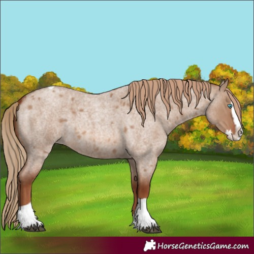 Horse Color:Unknown 