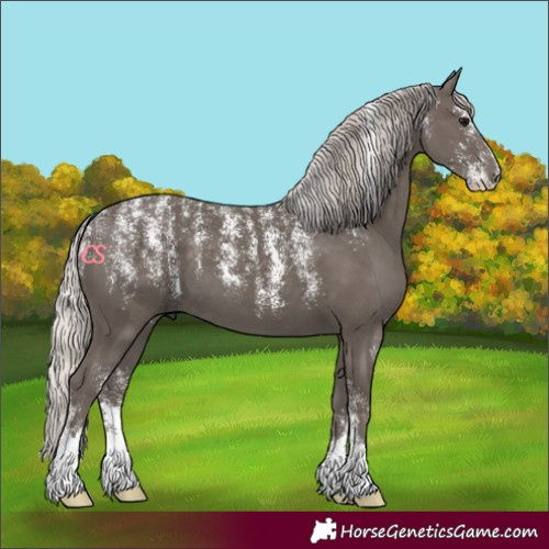 Horse Color:Powder White Silver Black 