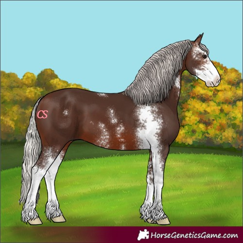 Horse Color:Silver Brown Sabino 
