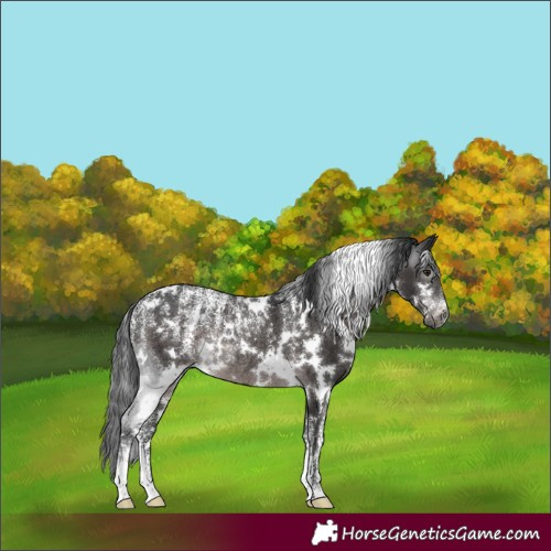 Horse Color:Powder White Gray Platinum White Spotted Brown Rabicano 