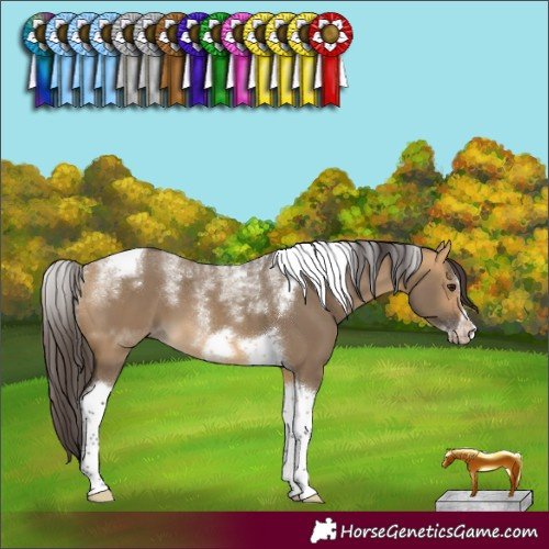 Horse Color:Powder White Buckskin Dun Tobiano Frame 
