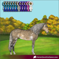 Horse Color:White Spotted Silver Buckskin Dun Sabino Rabicano