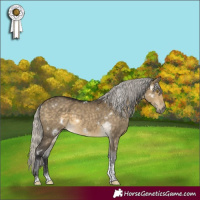 Horse Color:White Spotted Silver Buckskin Dun Sabino Rabicano 