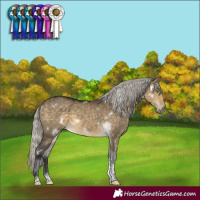 Horse Color:White Spotted Silver Buckskin Dun Sabino Rabicano