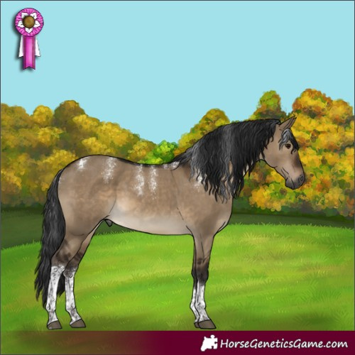 Horse Color:Powder White Gray Brown Dun Tobiano Rabicano 