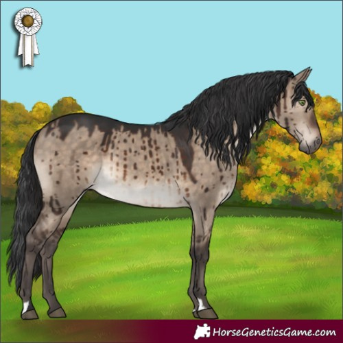 Horse Color:Brown Dun Rabicano Brindle 
