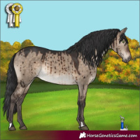 Horse Color:Brown Dun Rabicano Brindle 